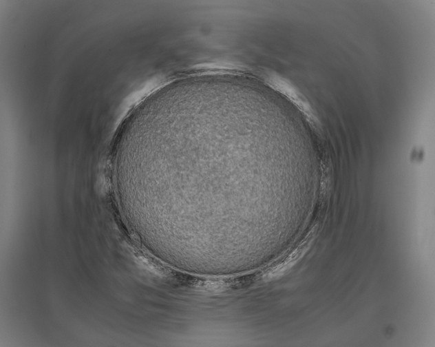 X0000096651357200803041140