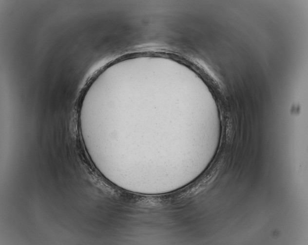 X0000096651358200803041140