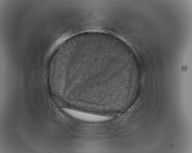 X0000096651359200803041140