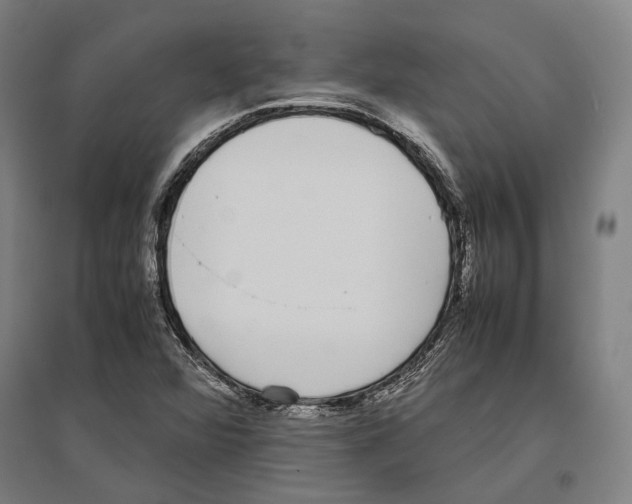 X0000096651360200803041140