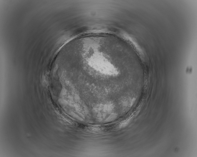 X0000096651361200803041140