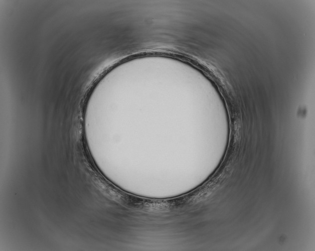 X0000096651363200803041140