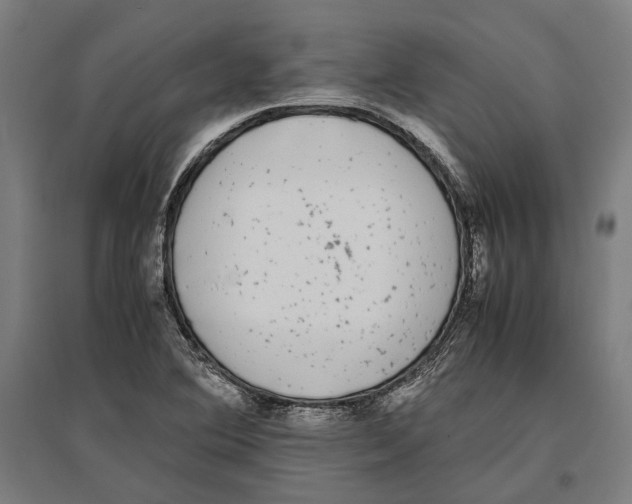 X0000096651364200803041140