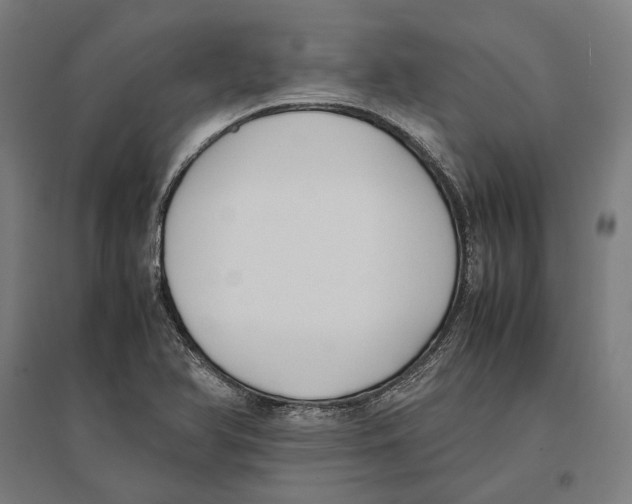 X0000096651366200803041140