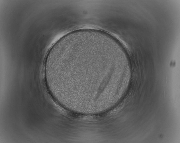 X0000096651367200803041140