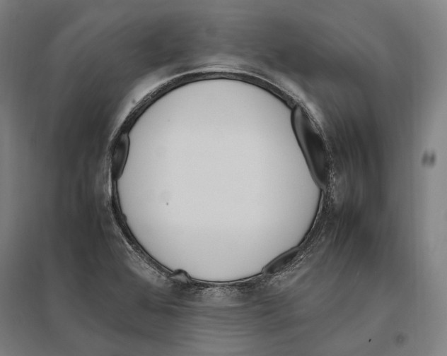 X0000096651368200803041140