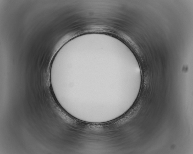 X0000096651370200803041140