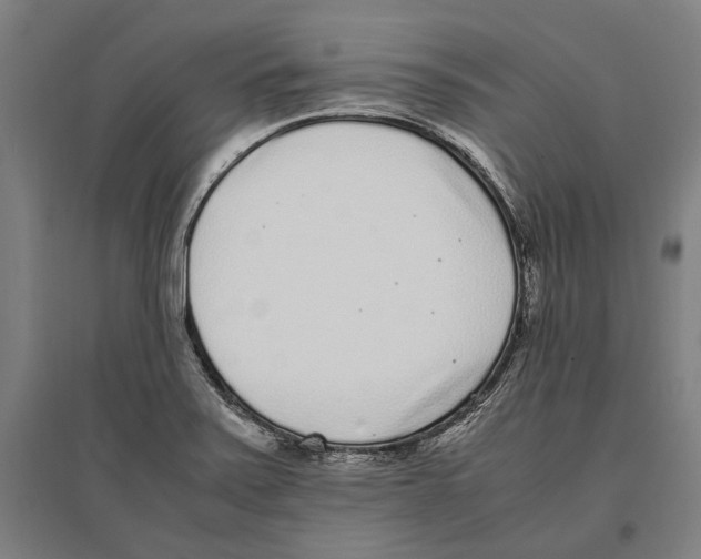 X0000096651371200803041140