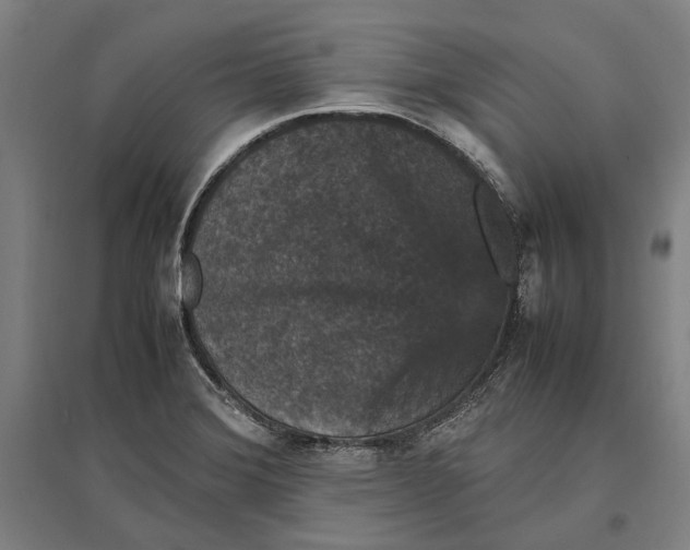 X0000096651372200803041140