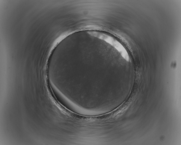 X0000096651373200803041140