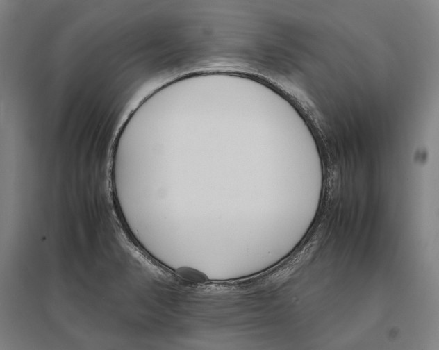 X0000096651374200803041140