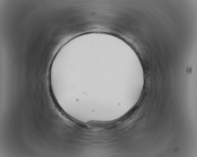 X0000096651375200803041140