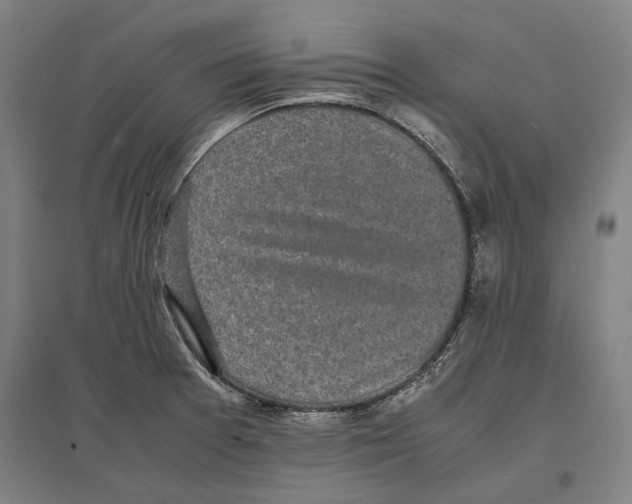 X0000096651377200803041140