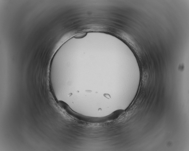 X0000096651378200803041140