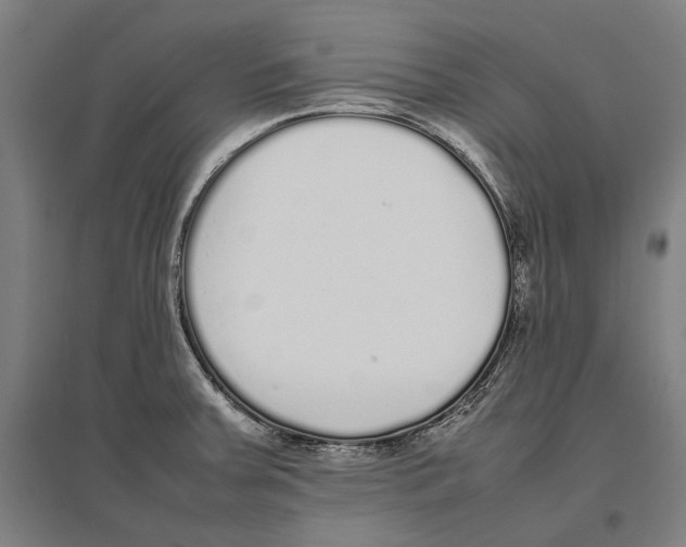 X0000096651379200803041140