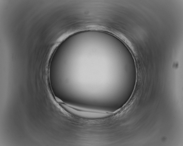 X0000096651381200803041140