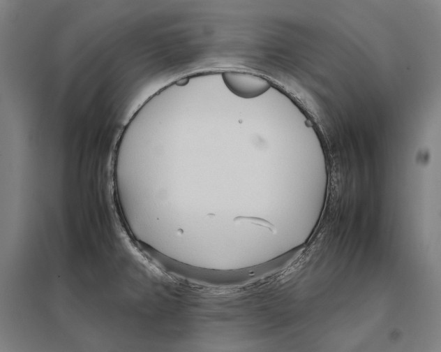 X0000096651382200803041140