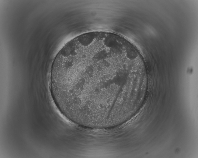 X0000096651383200803041139