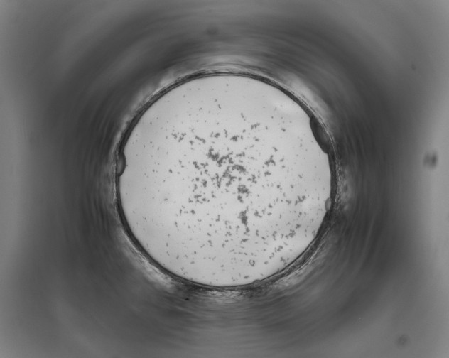 X0000096651384200803041139