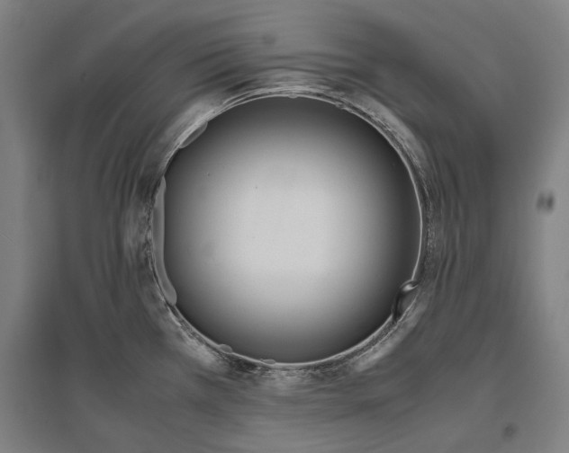 X0000096651385200803041139