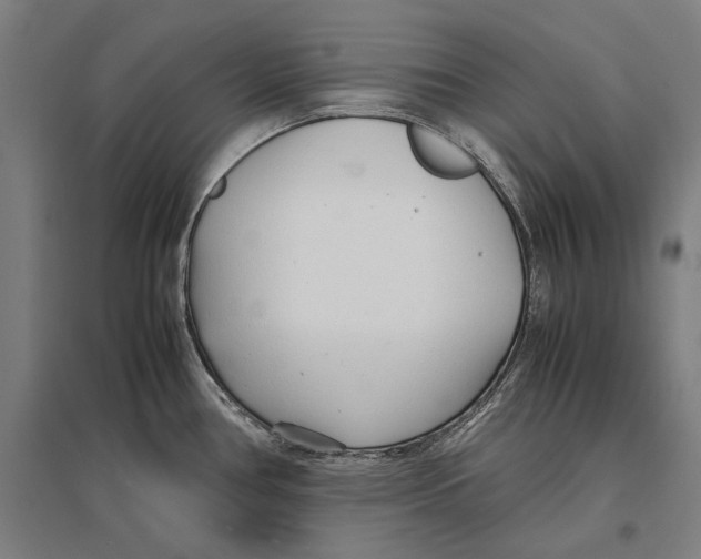 X0000096651386200803041139