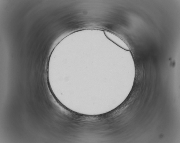 X0000096651387200803041139