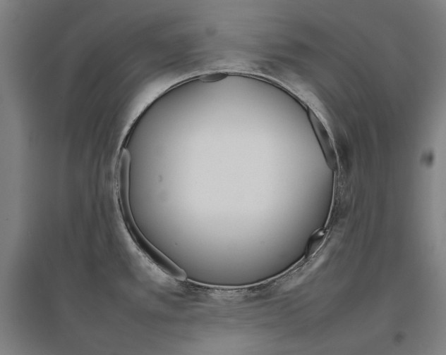 X0000096651389200803041139