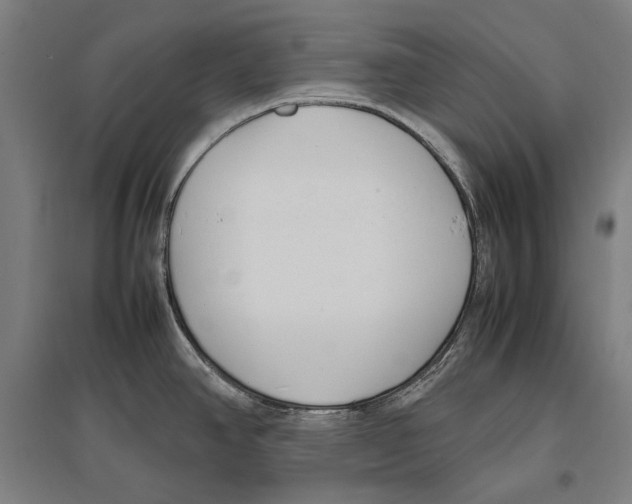 X0000096651390200803041139