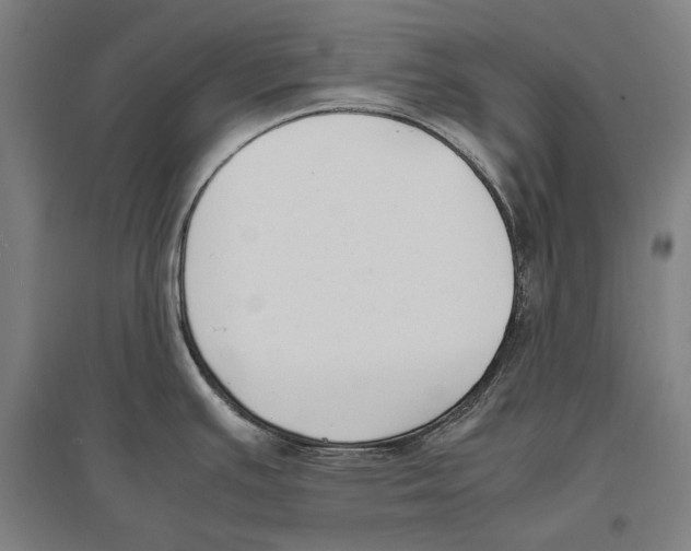 X0000096651391200803041139