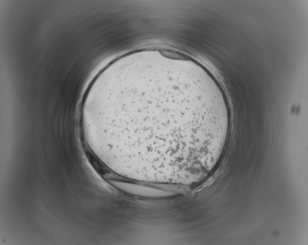 X0000096651392200803041139