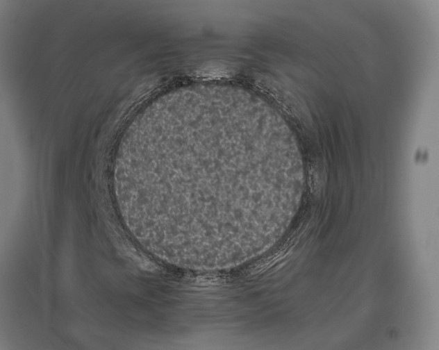 X0000096651393200803041139