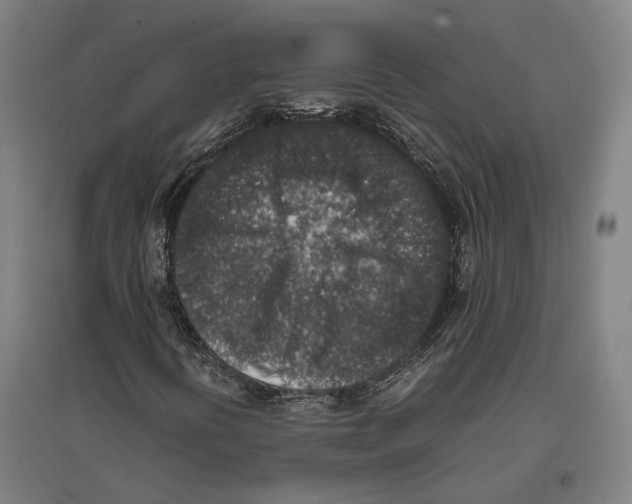 X0000096651394200803041139