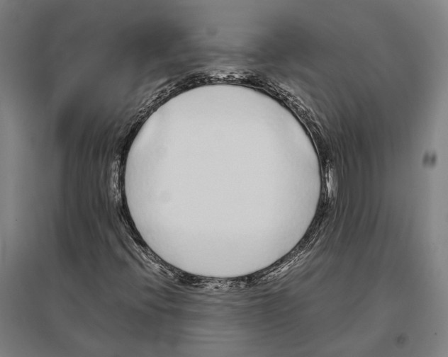 X0000096651396200803041139