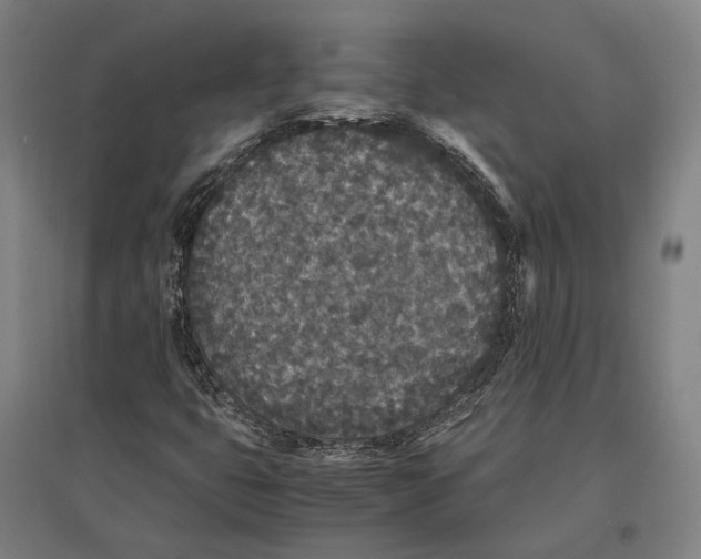 X0000096651399200803041139