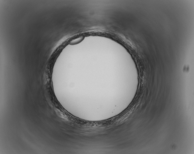 X0000096651400200803041139