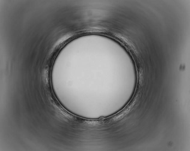 X0000096651402200803041139