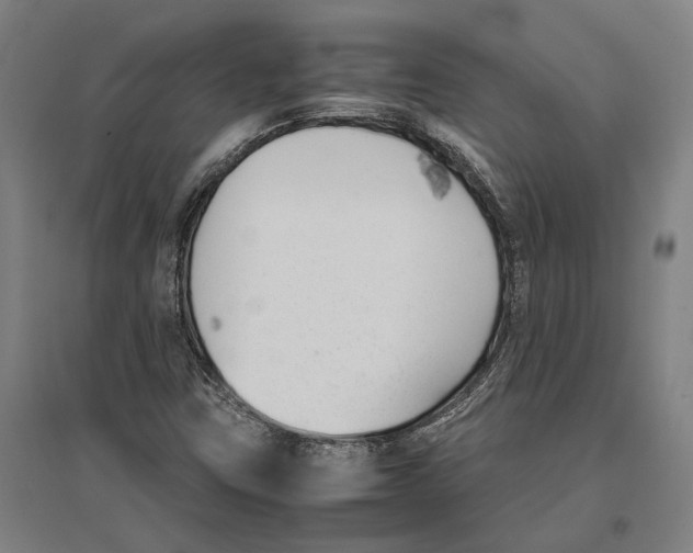 X0000096651403200803041139