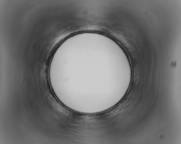 X0000096651404200803041139