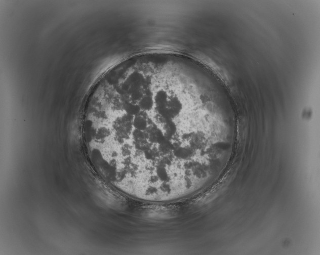 X0000096651405200803041139