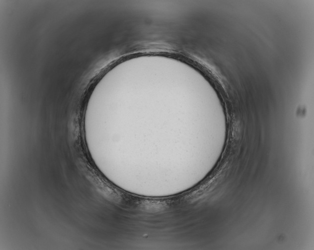 X0000096651407200803041139