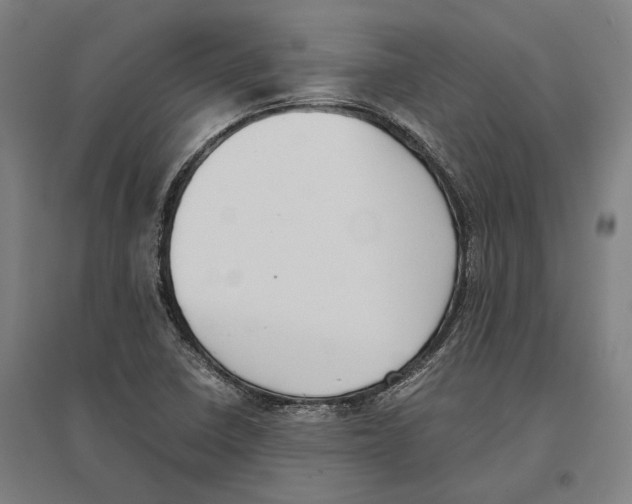 X0000096651410200803041139