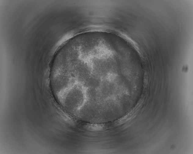 X0000096651411200803041139