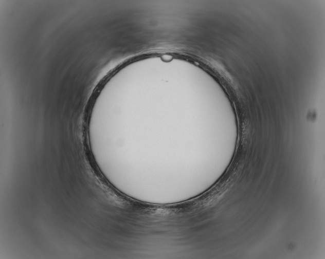 X0000096651412200803041139