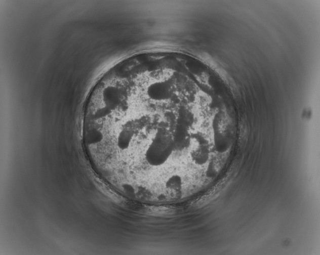 X0000096651413200803041139