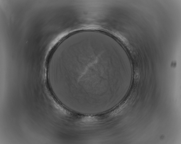 X0000096651414200803041139