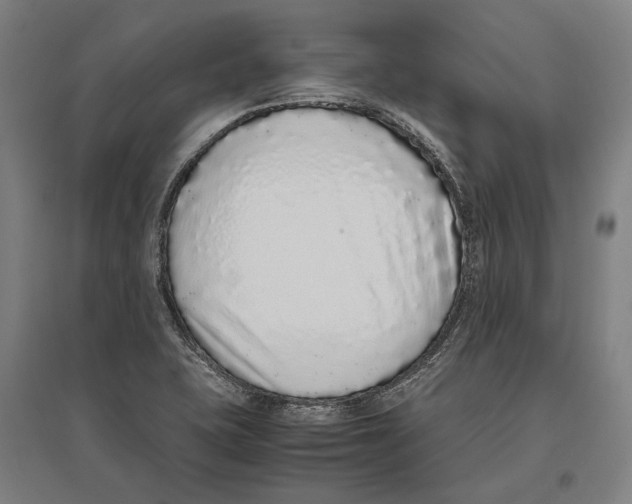 X0000096651415200803041139