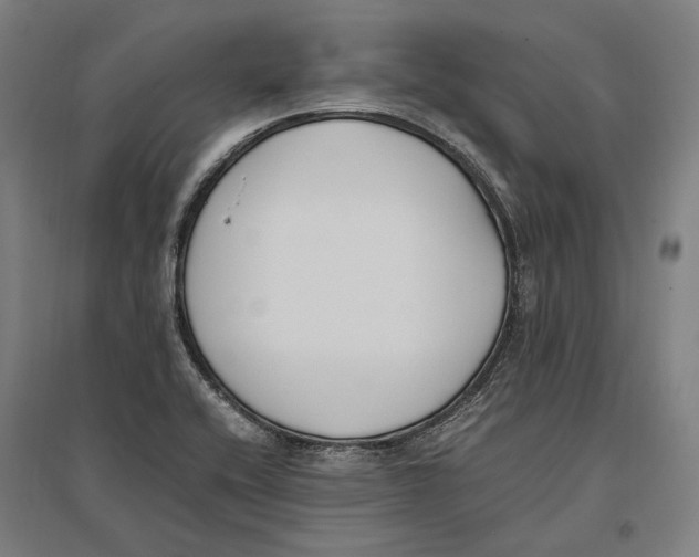 X0000096651416200803041139