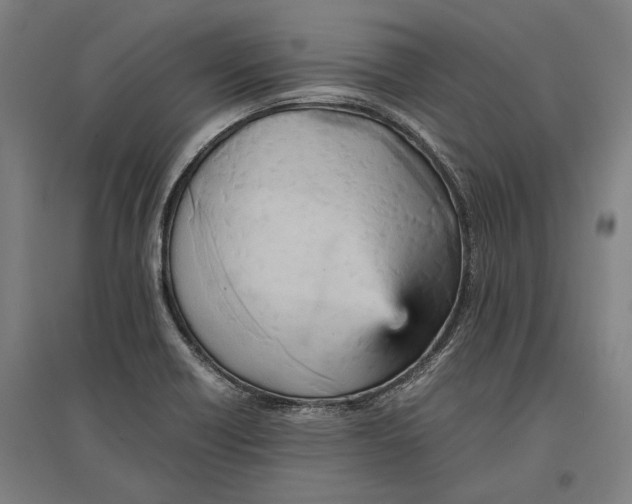 X0000096651418200803041139