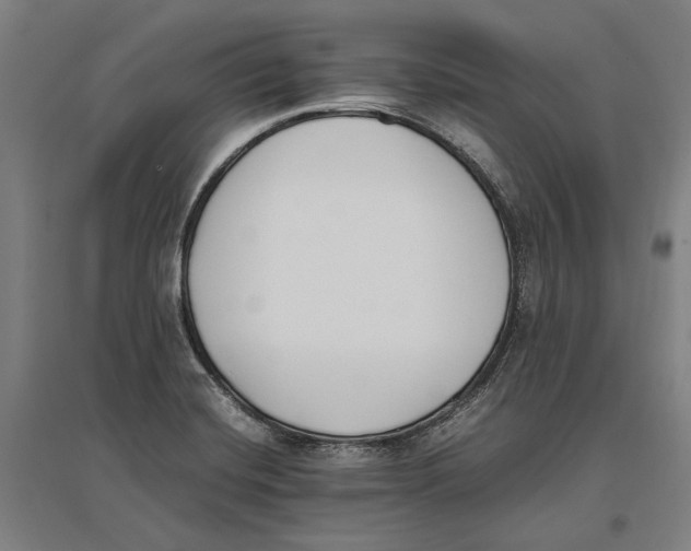 X0000096651420200803041139