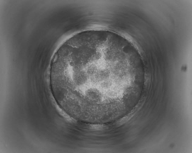 X0000096651421200803041139